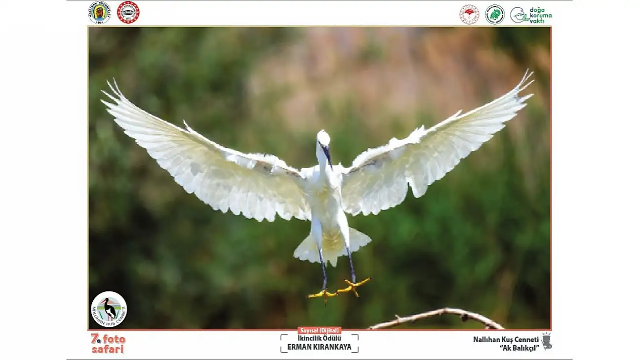 Başkent'ten fotoğraf avcılarına çağrı