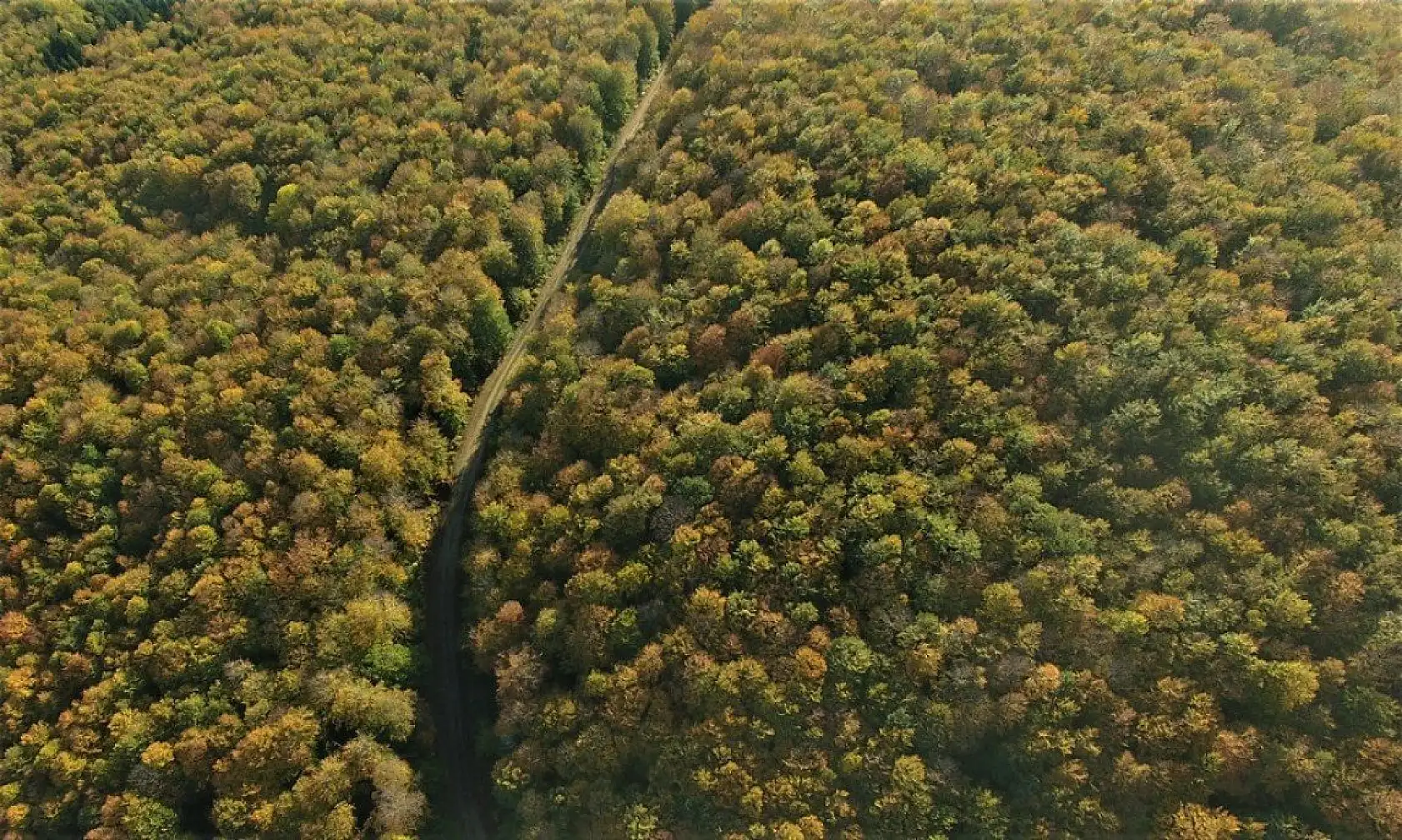 Kastamonu'da sonbahar ayrı bir güzel
