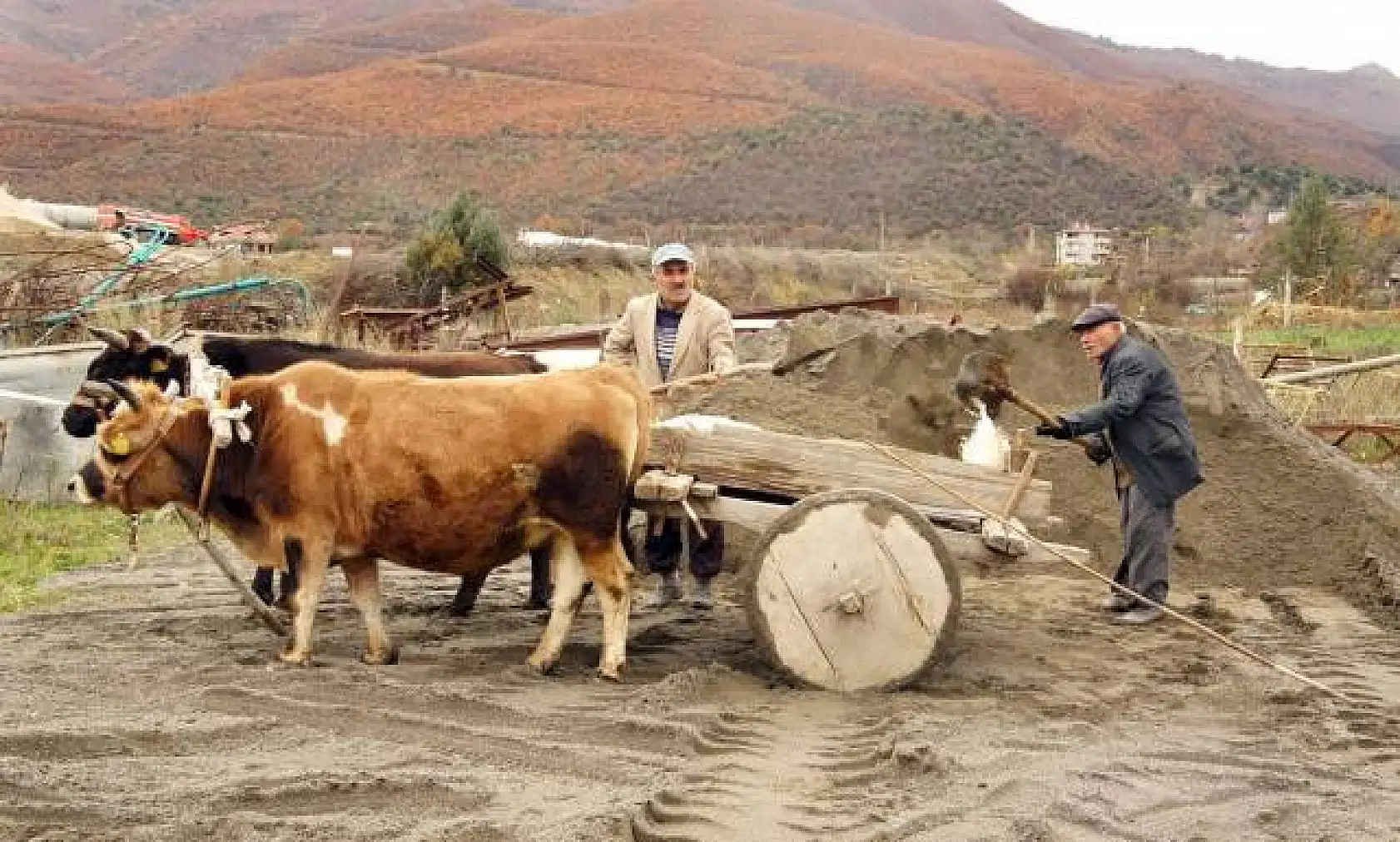 Teknolojiyi reddeden baba