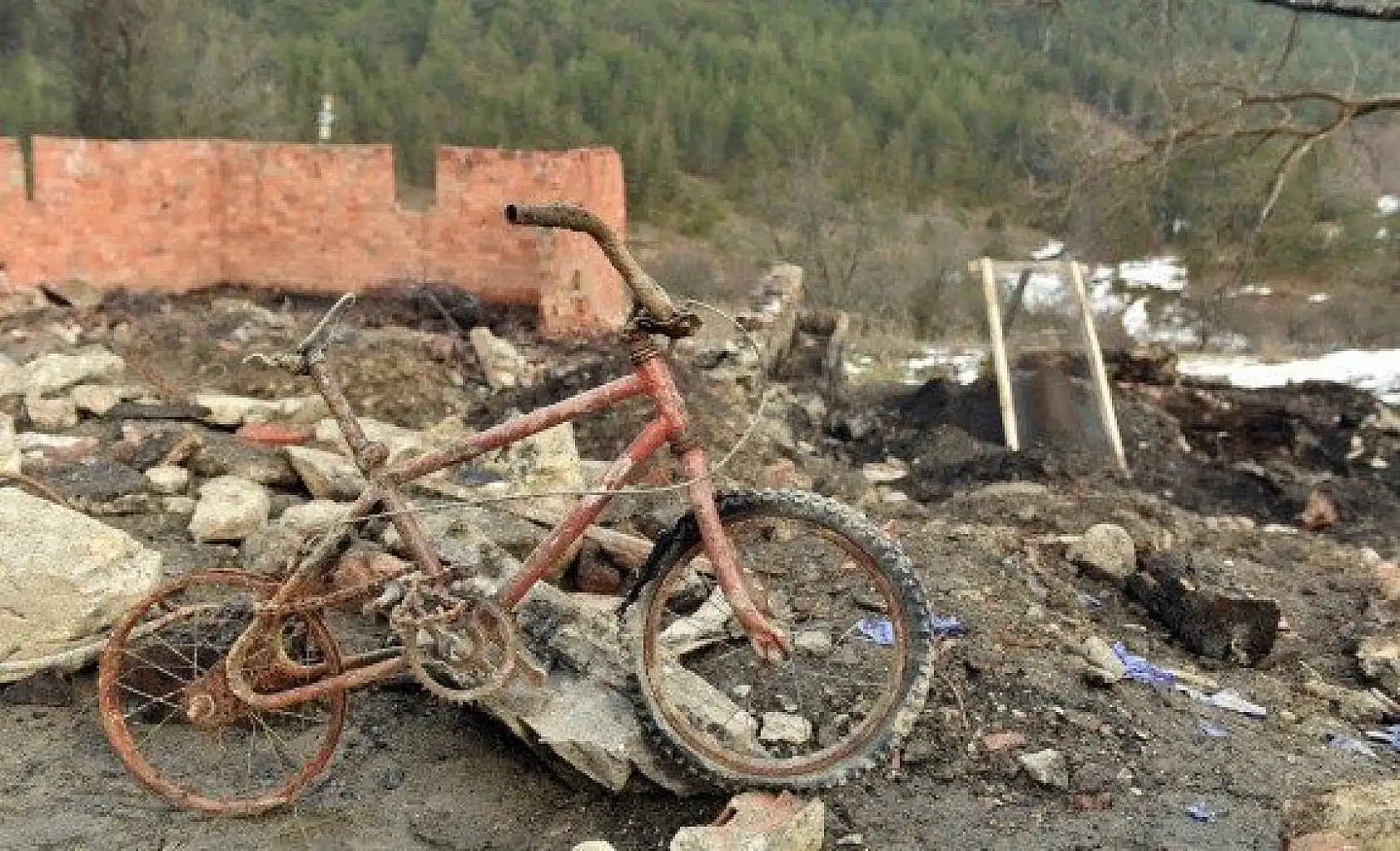 Kastamonu'da yaşanan vahşetin ayrıntıları kan dondurdu