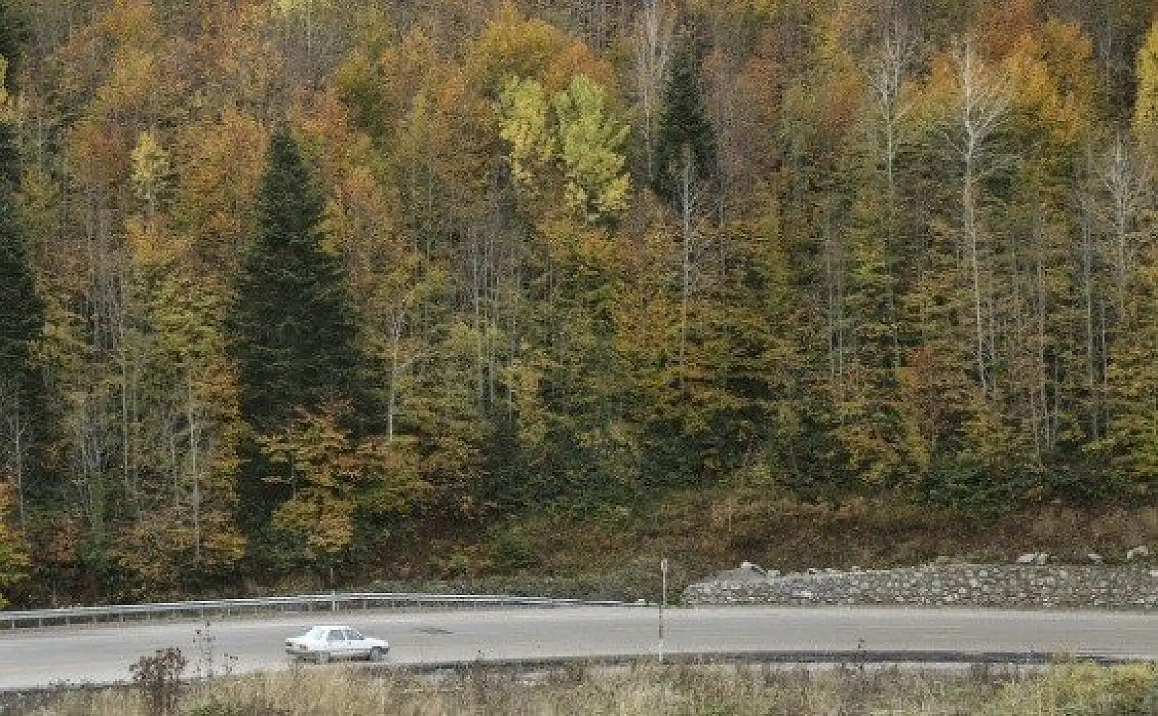 Küre Dağlarında sonbahar renklerinin görsel şöleni