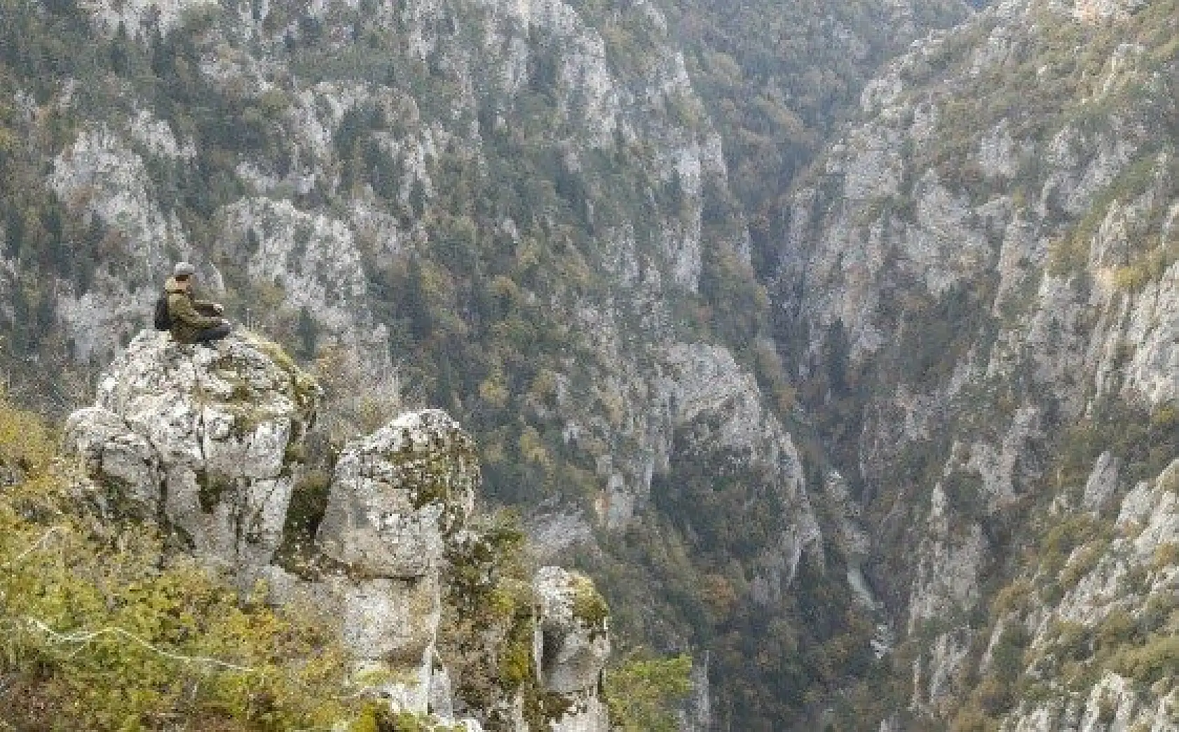 Küre Dağlarında sonbahar renklerinin görsel şöleni