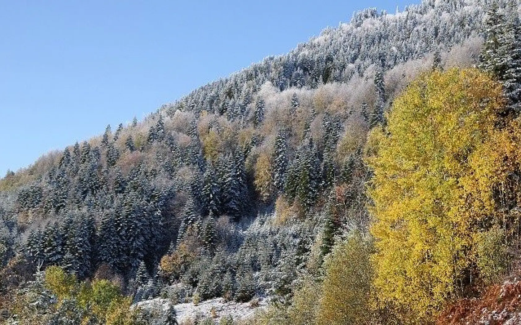 Kastamonu'da sonbaharın renk cümbüşü
