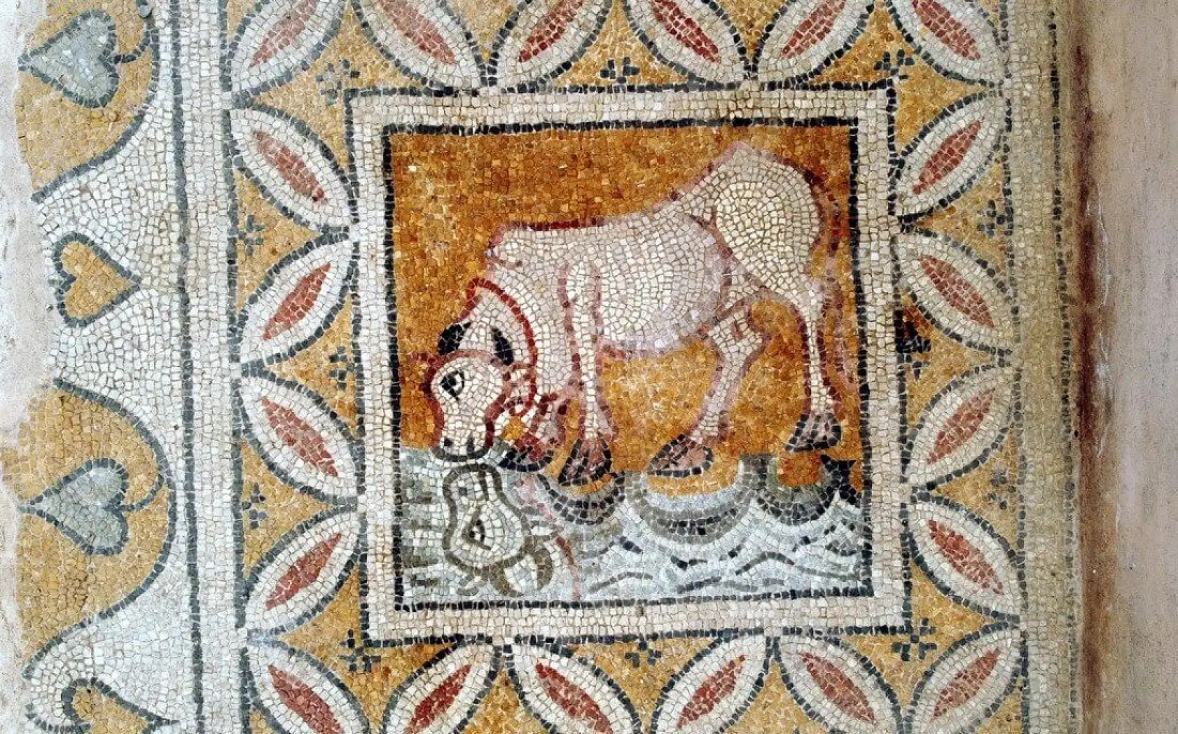 Mezardan 1800 yıllık 'ölü hediyeleri' çıktı