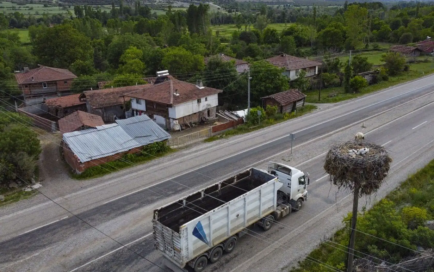 Yavru leylekler uçacağı günü bekliyor