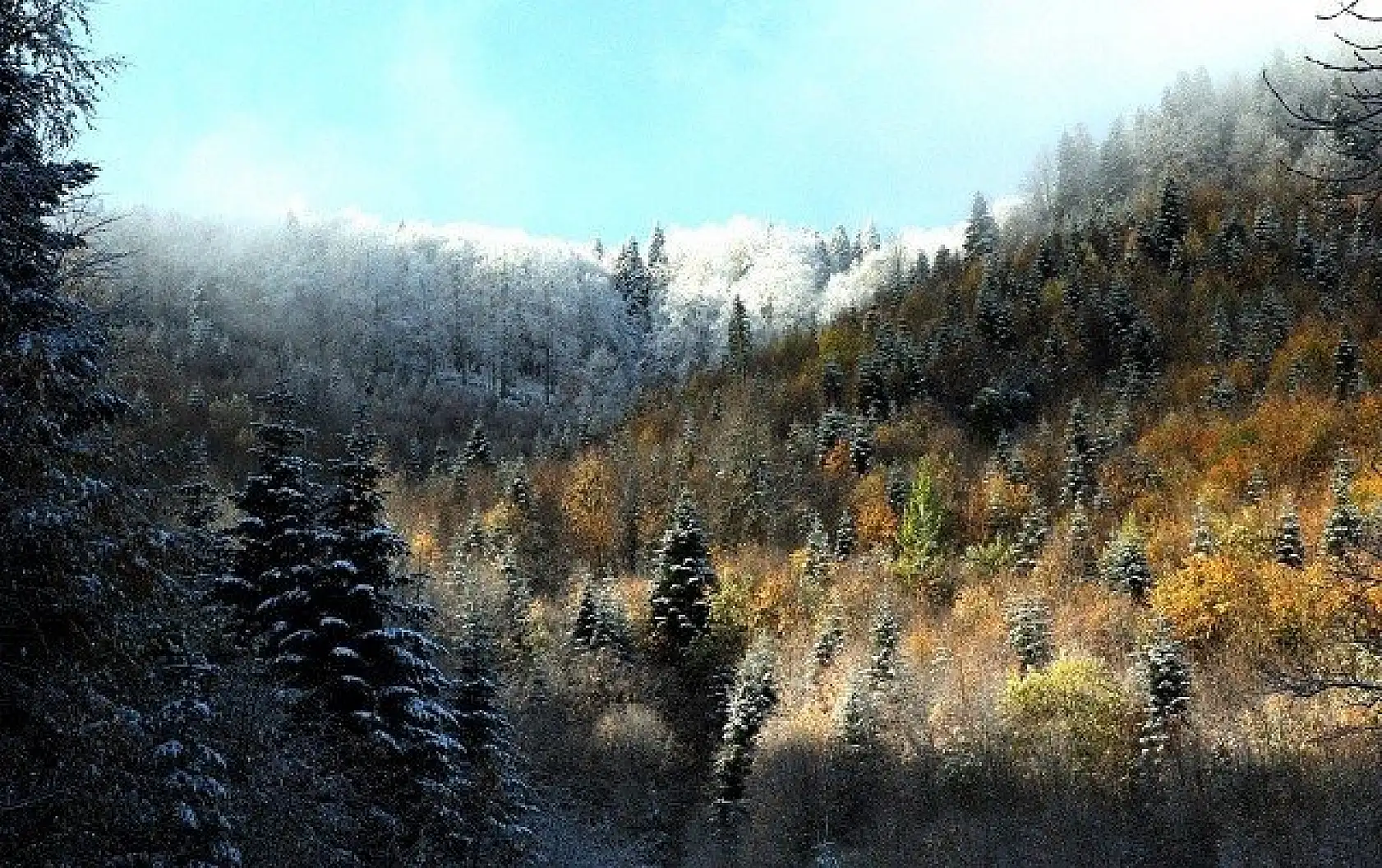 Kastamonu'da sonbaharın renk cümbüşü