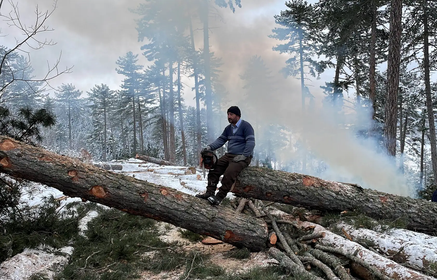 Zorlu şartlarda ekmeklerini ormandan çıkarıyorlar