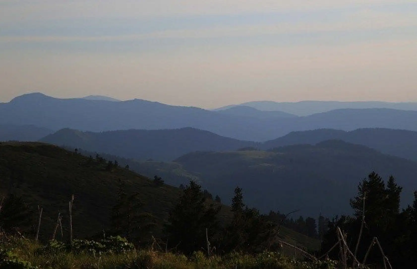Ilgaz Dağı'nın zirvesinde çiçekler yeni açıyor