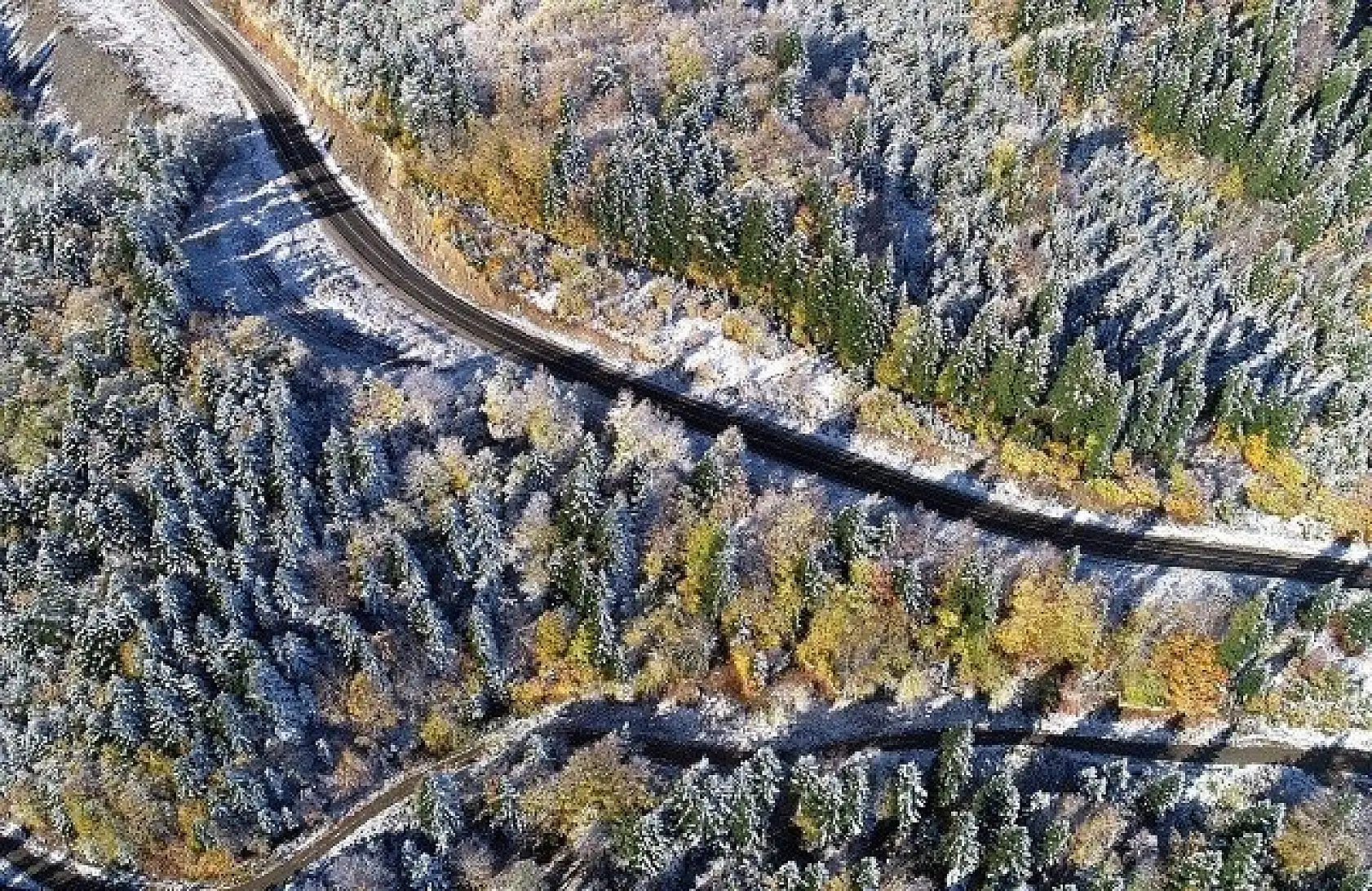 Kastamonu'da sonbaharın renk cümbüşü