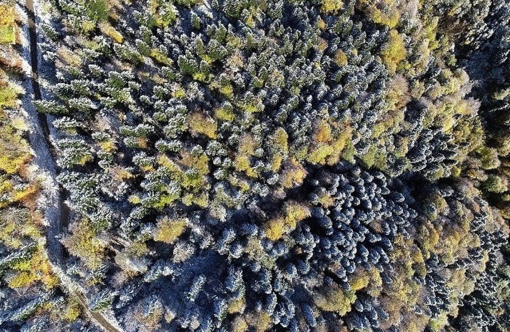 Kastamonu'da sonbaharın renk cümbüşü