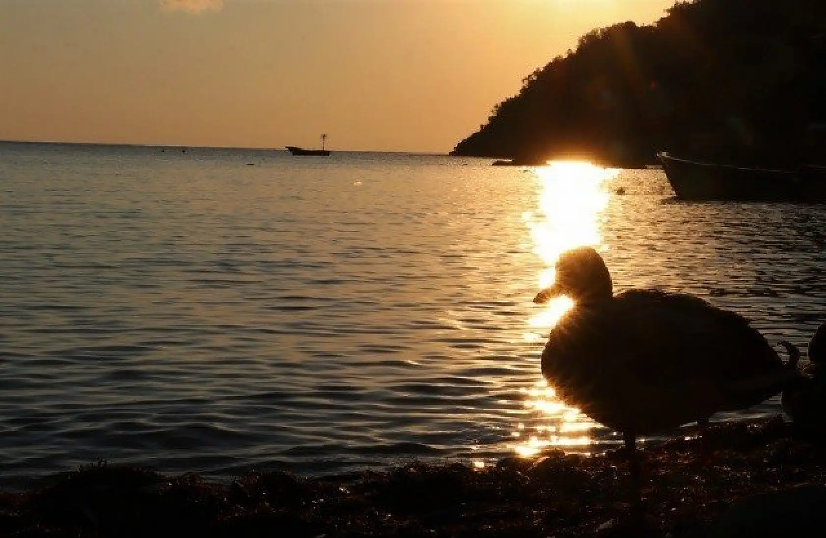 Batı Karadeniz'in cezbeden koyu: Gideros