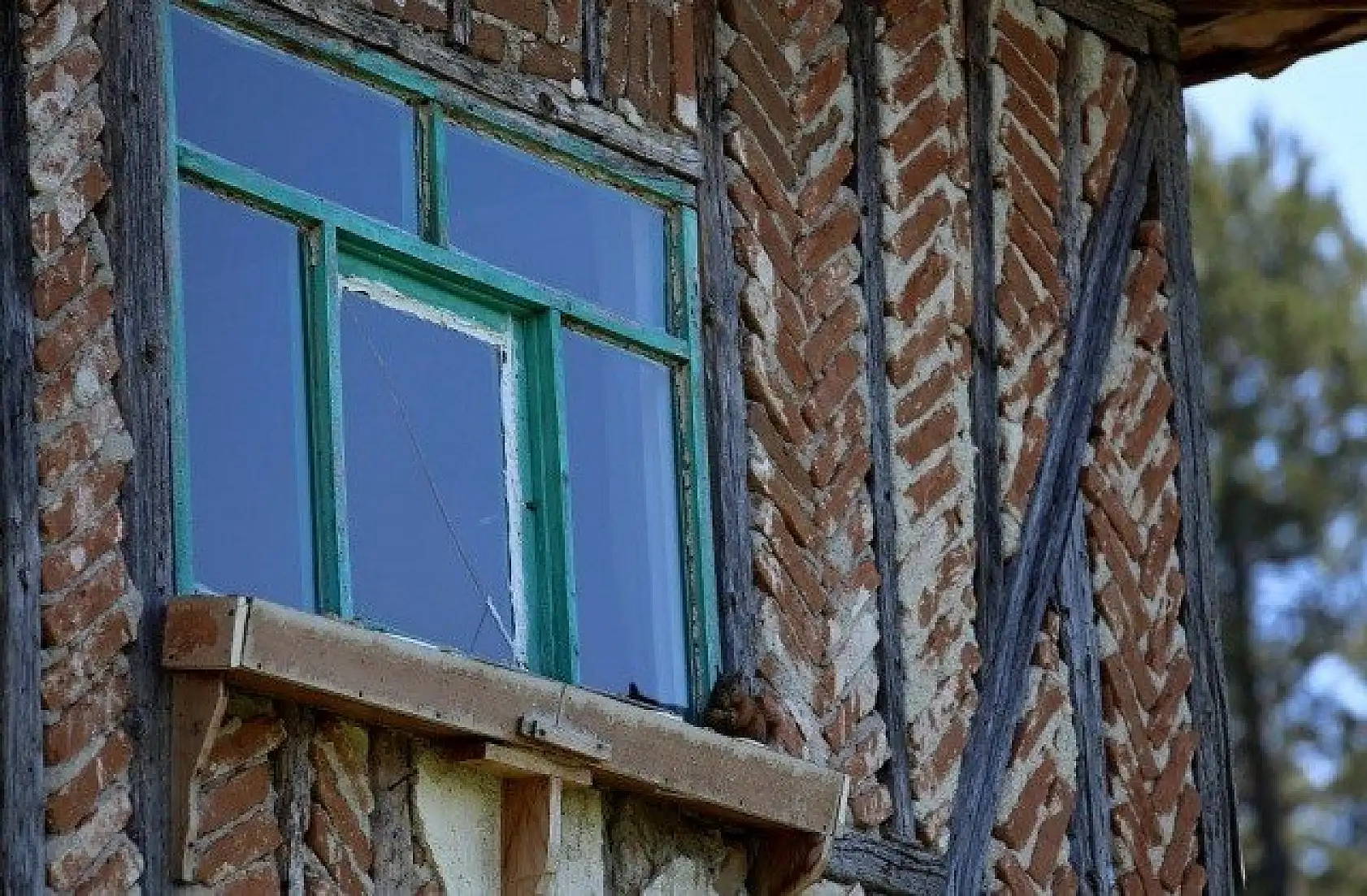 &quotKüçük sevimli misafirleri" evinin penceresinde ağırlıyor