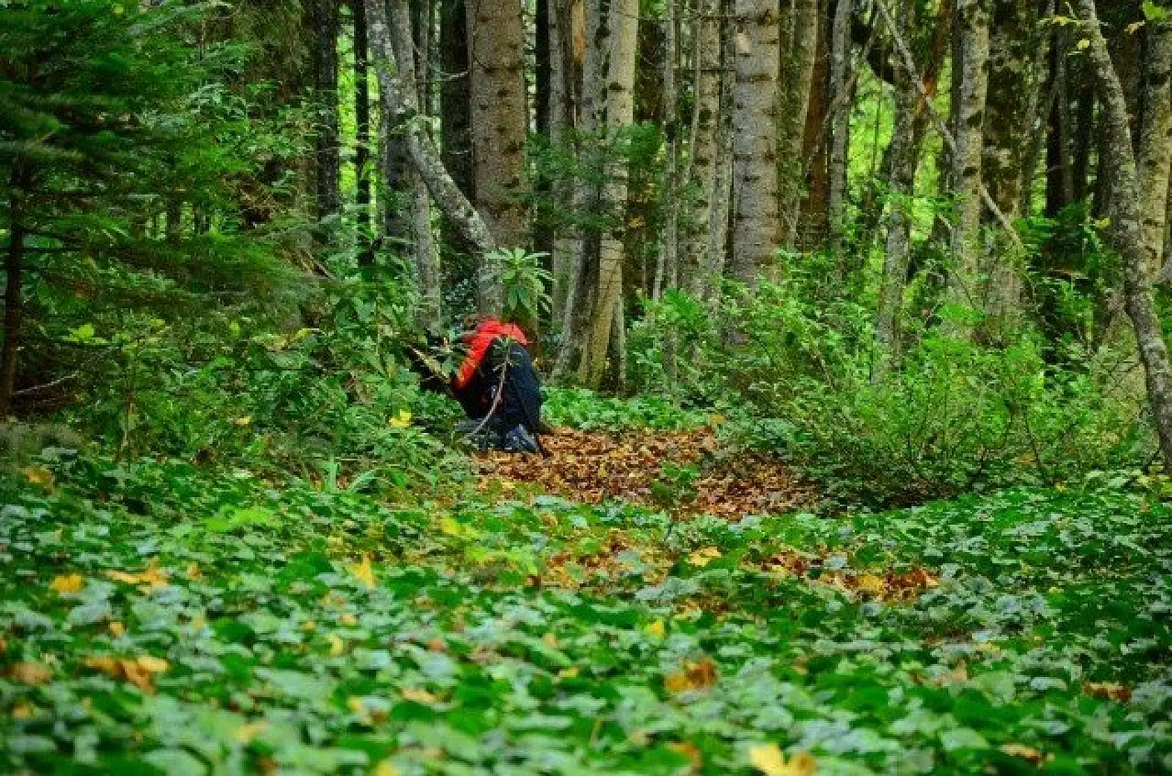 Kastamonu'nun &quotsaklı cennet&quoti Şenpazar ziyaretçilerini büyülüyor