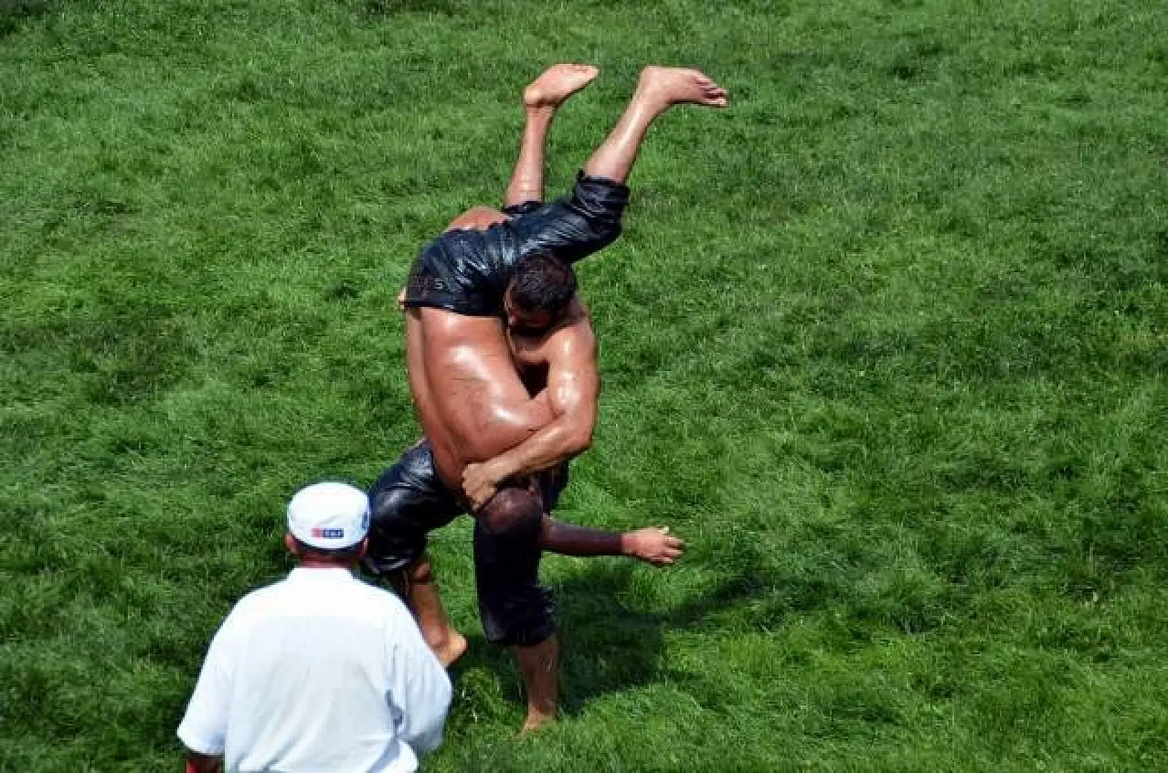 Tosya Yağlı Güreşleri