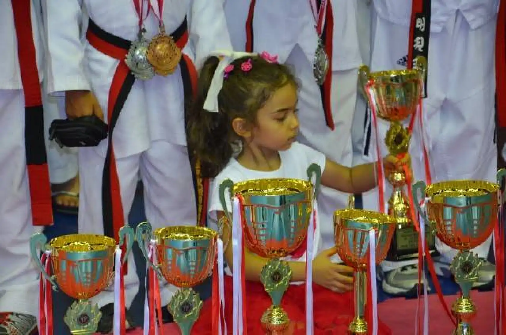 Balıkesir Poomse Türkiye Taekwondo Şampiyonası 19-23.08.2014