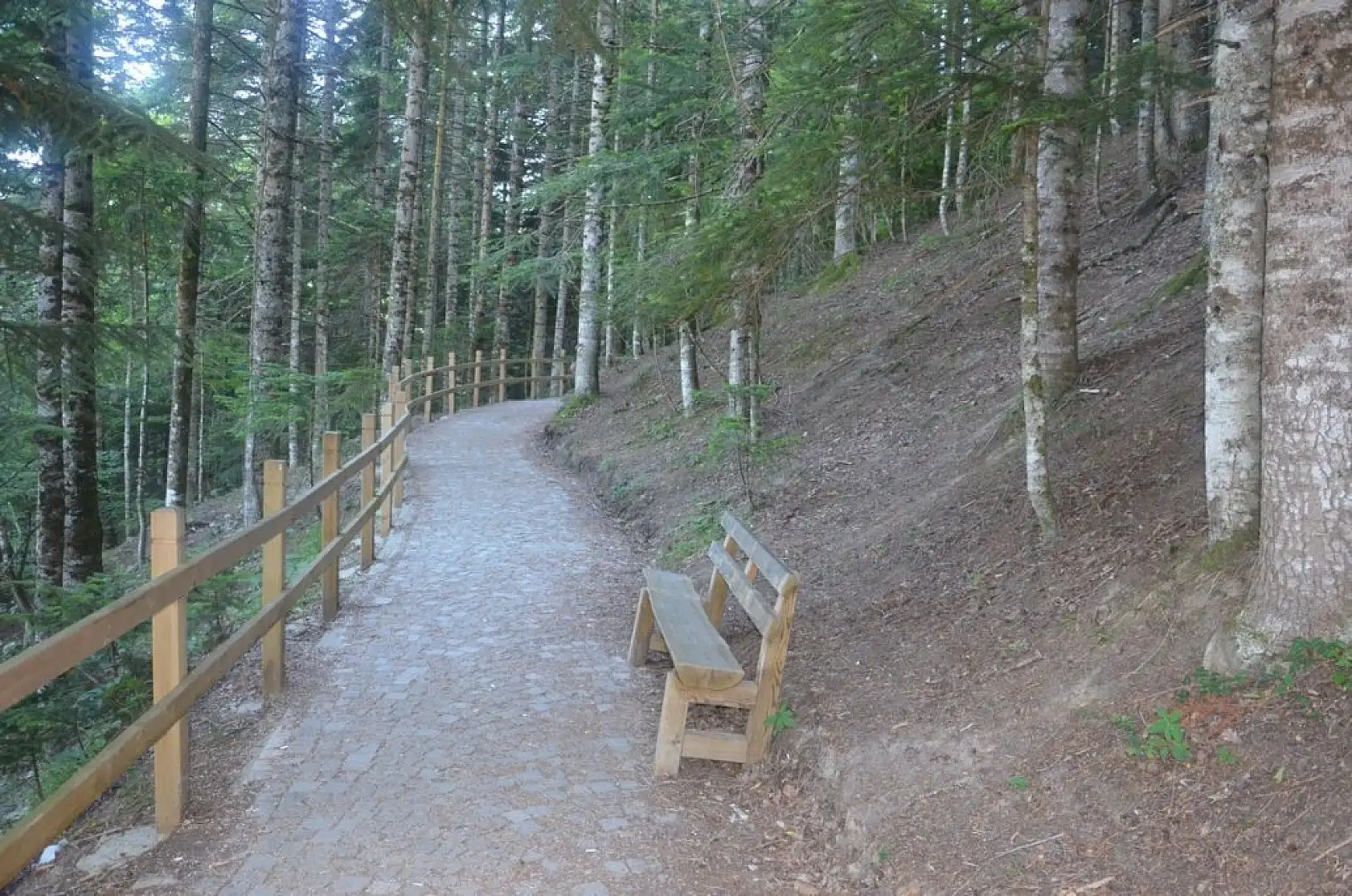 Burgulu terasta adrenalin dolu anlar