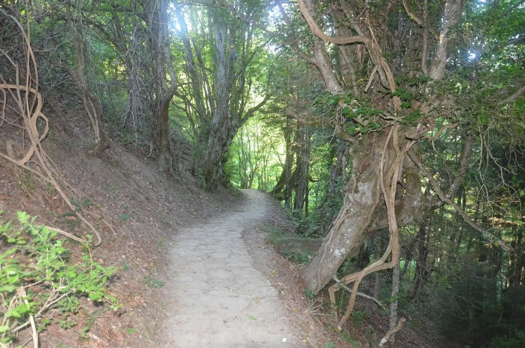 Burgulu terasta adrenalin dolu anlar