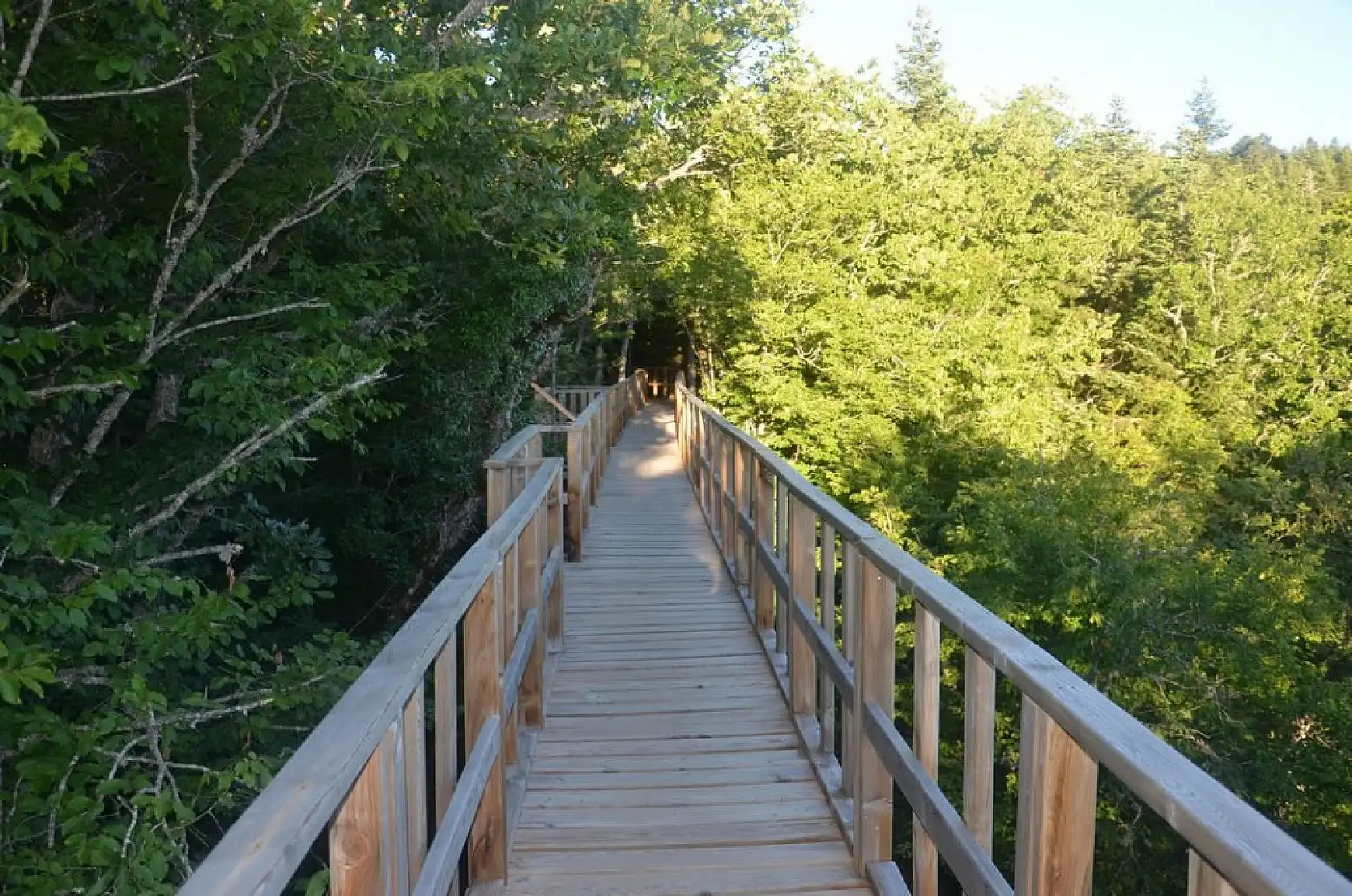 Çatak Kanyonu'ndaki cam teras nefesleri kesiyor
