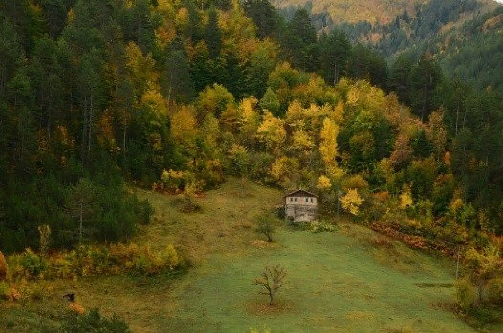Saklı cennet "Şenpazar" ziyaretçilerini büyülüyor