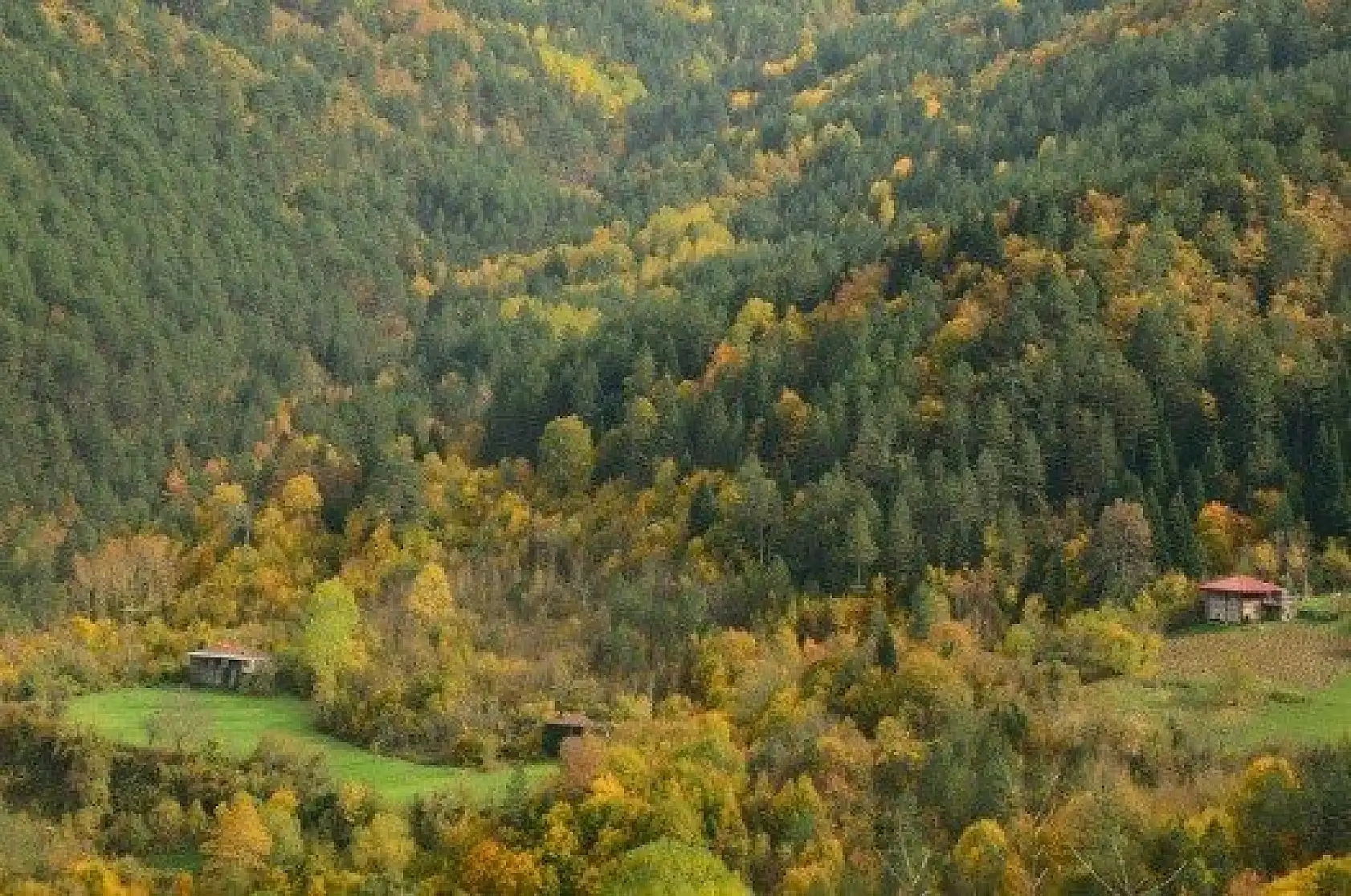 Saklı cennet "Şenpazar" ziyaretçilerini büyülüyor