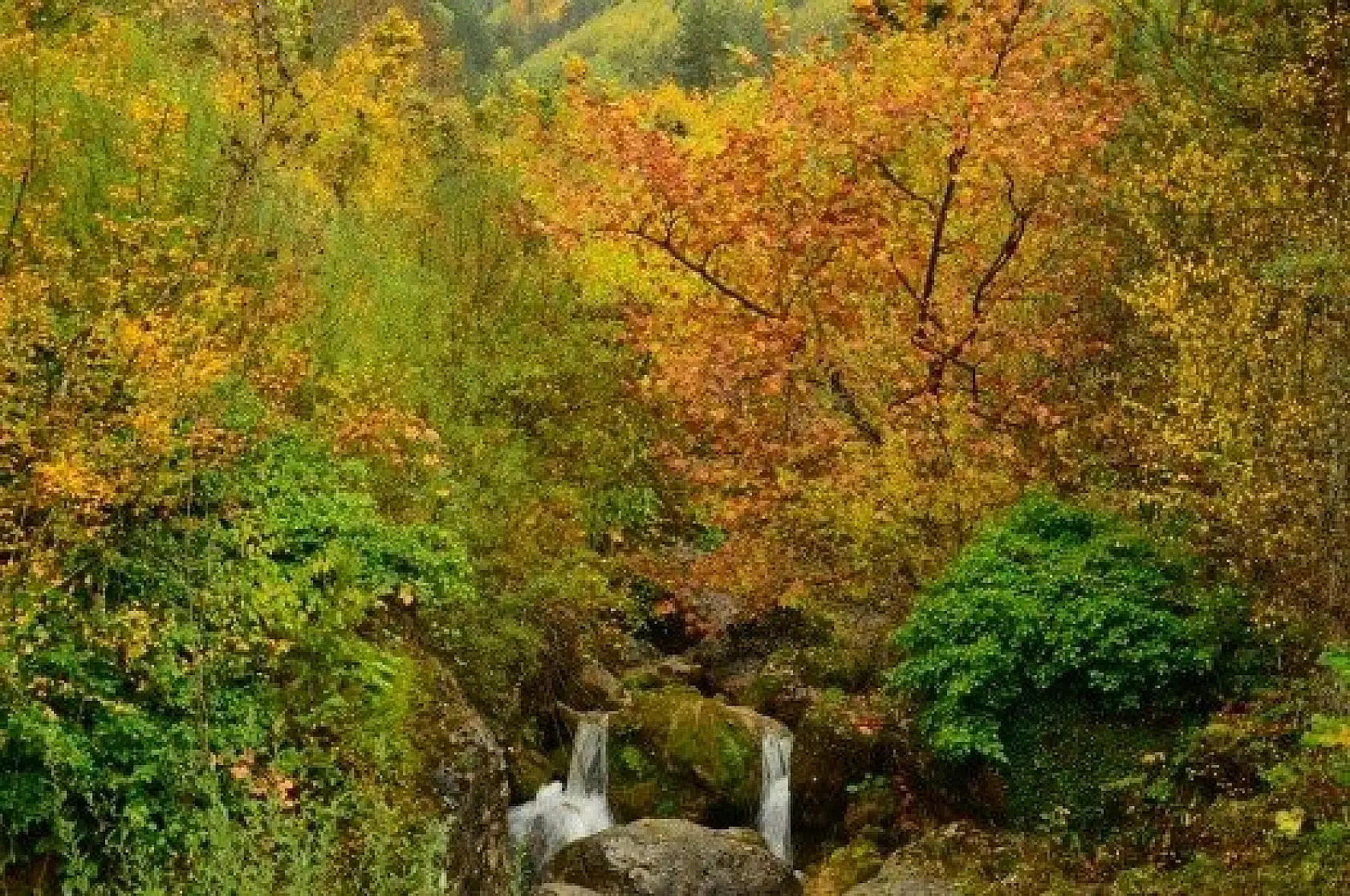 Saklı cennet "Şenpazar" ziyaretçilerini büyülüyor