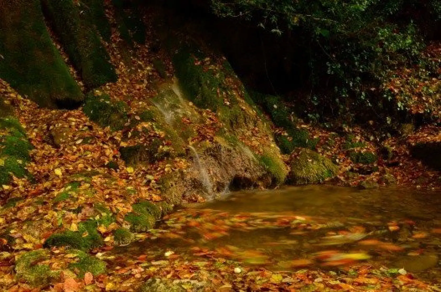 Saklı cennet "Şenpazar" ziyaretçilerini büyülüyor
