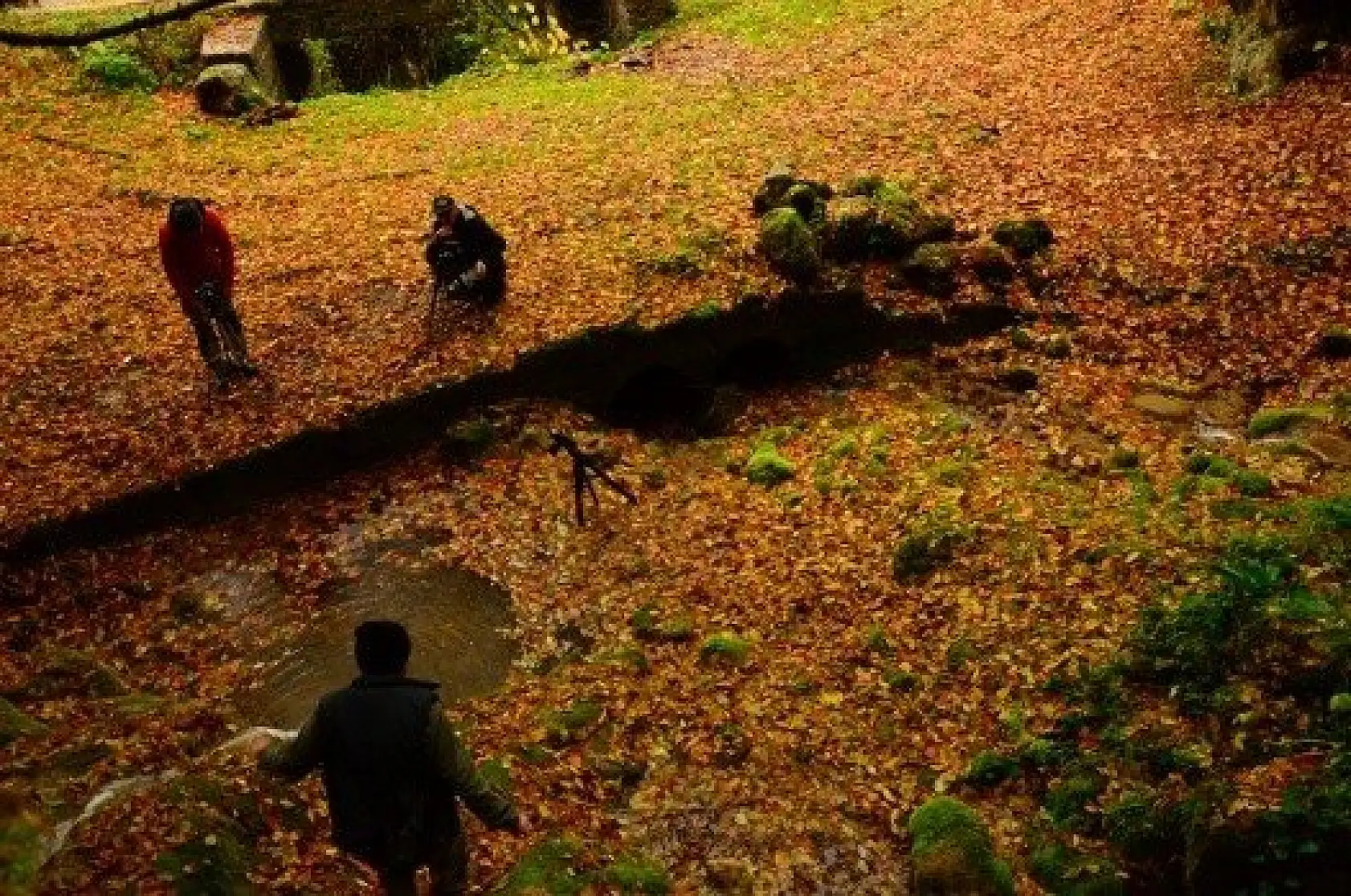 Saklı cennet "Şenpazar" ziyaretçilerini büyülüyor