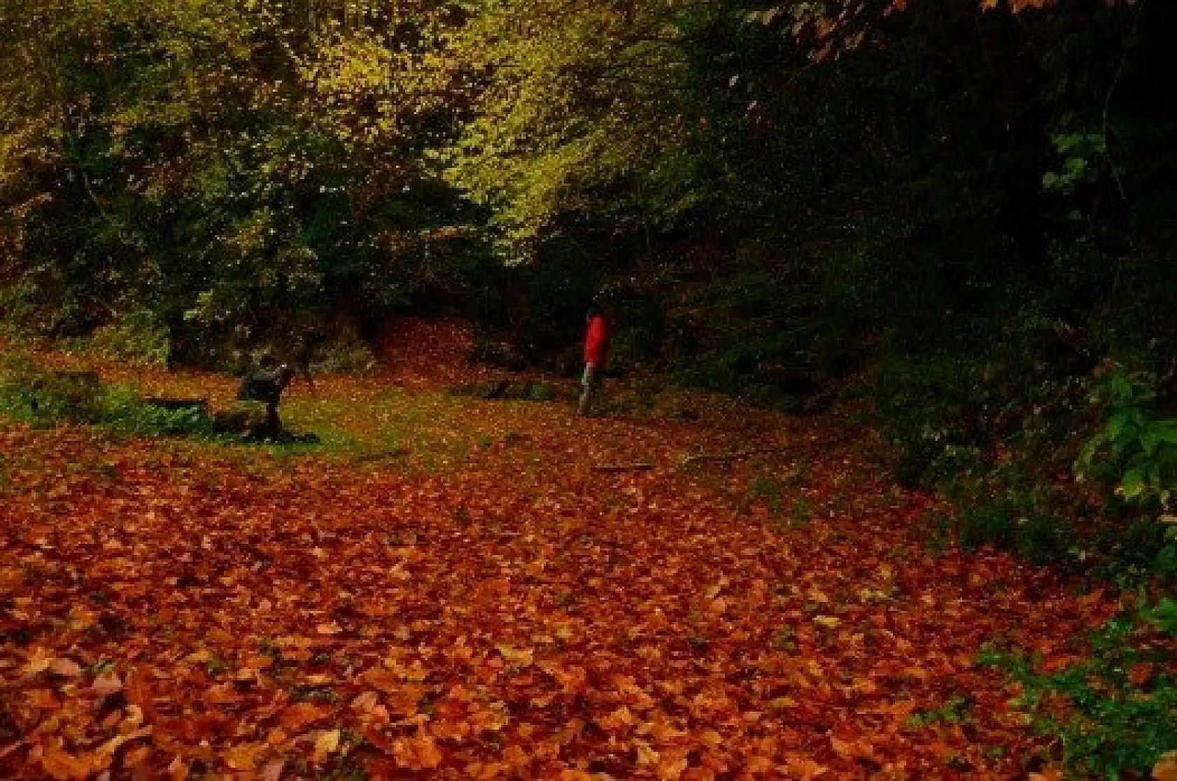 Saklı cennet "Şenpazar" ziyaretçilerini büyülüyor