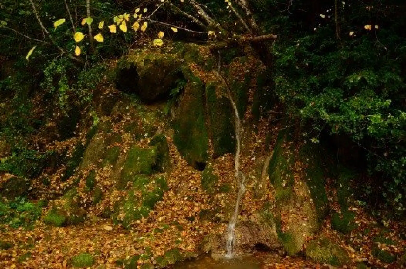 Saklı cennet "Şenpazar" ziyaretçilerini büyülüyor