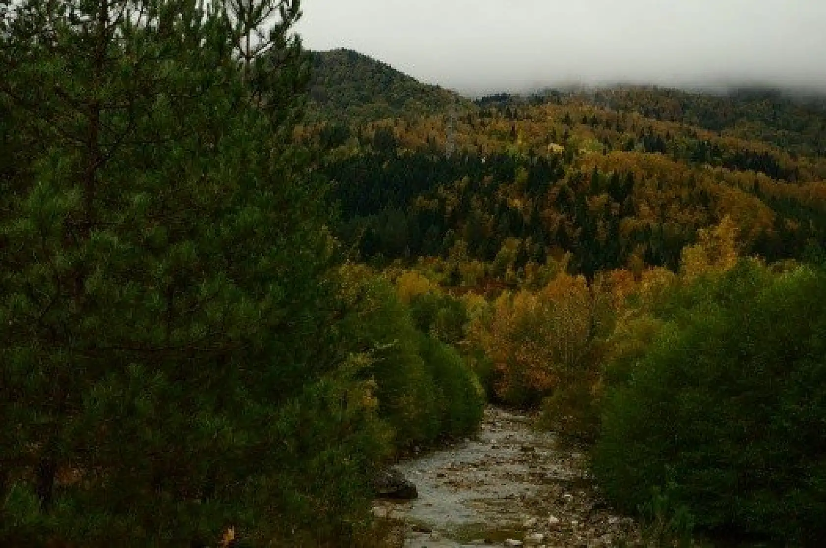 Saklı cennet "Şenpazar" ziyaretçilerini büyülüyor