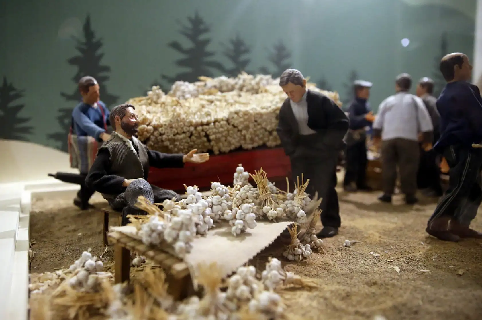 Sarımsak serüveni anlatılıyor