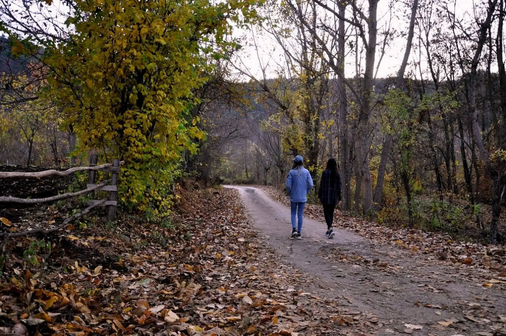 İhsangazi'de sonbahar renkleri