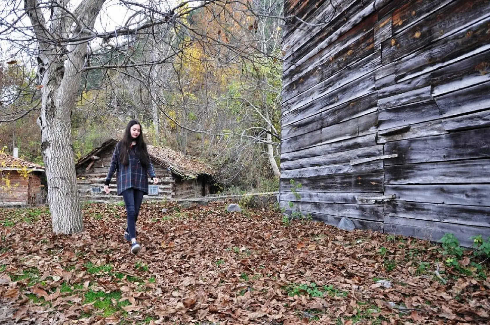 İhsangazi'de sonbahar renkleri