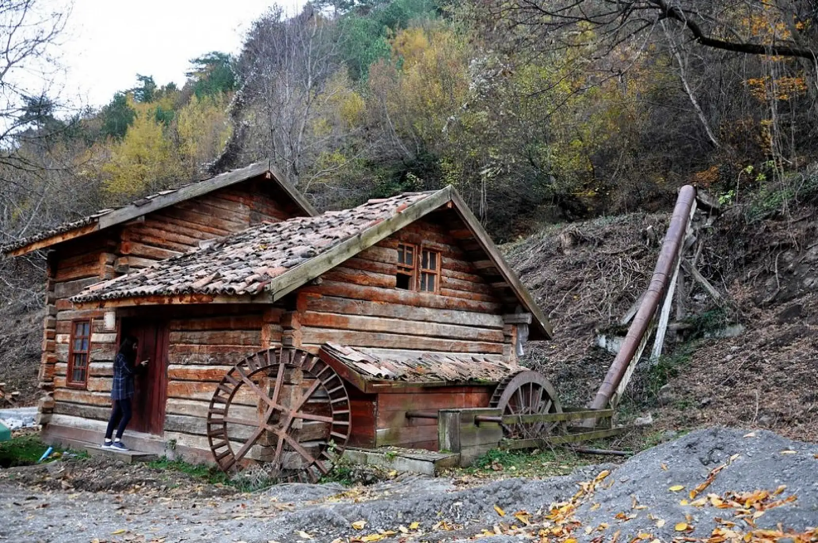 İhsangazi'de sonbahar renkleri