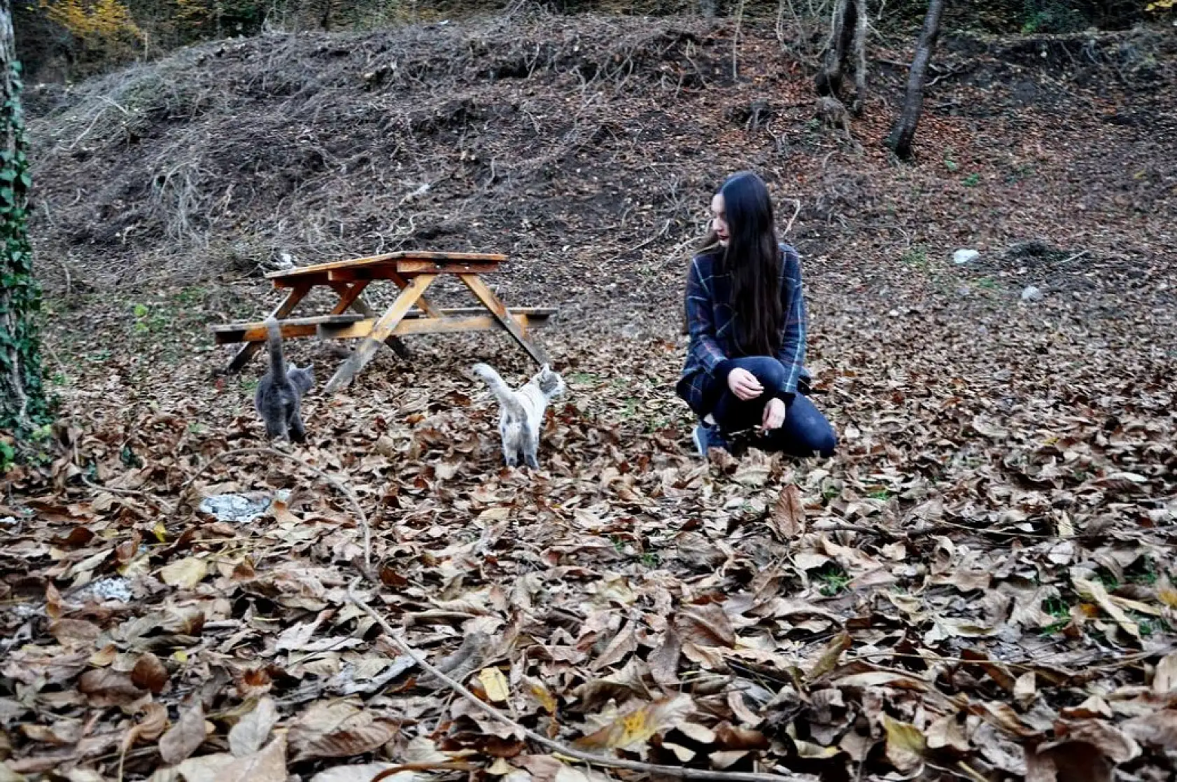 İhsangazi'de sonbahar renkleri