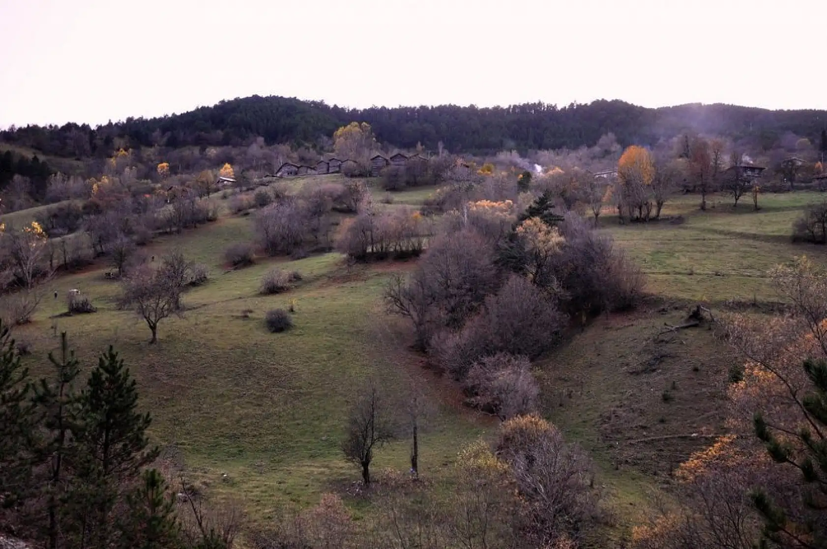 İhsangazi'de sonbahar renkleri