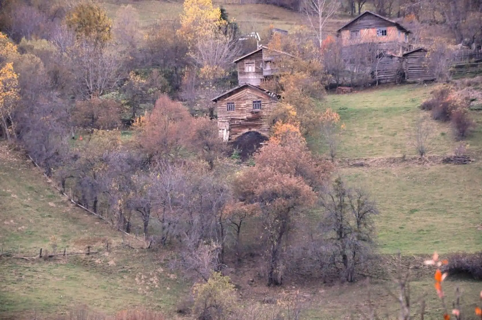 İhsangazi'de sonbahar renkleri