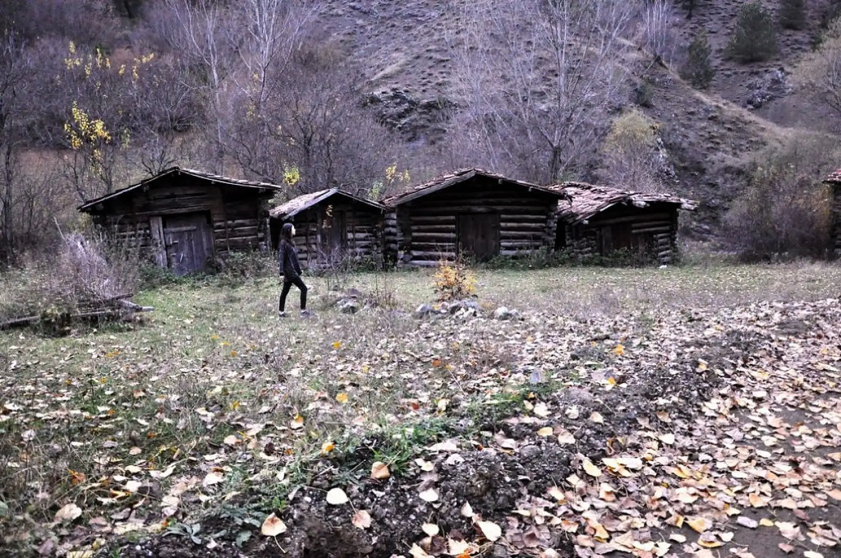 İhsangazi'de sonbahar renkleri