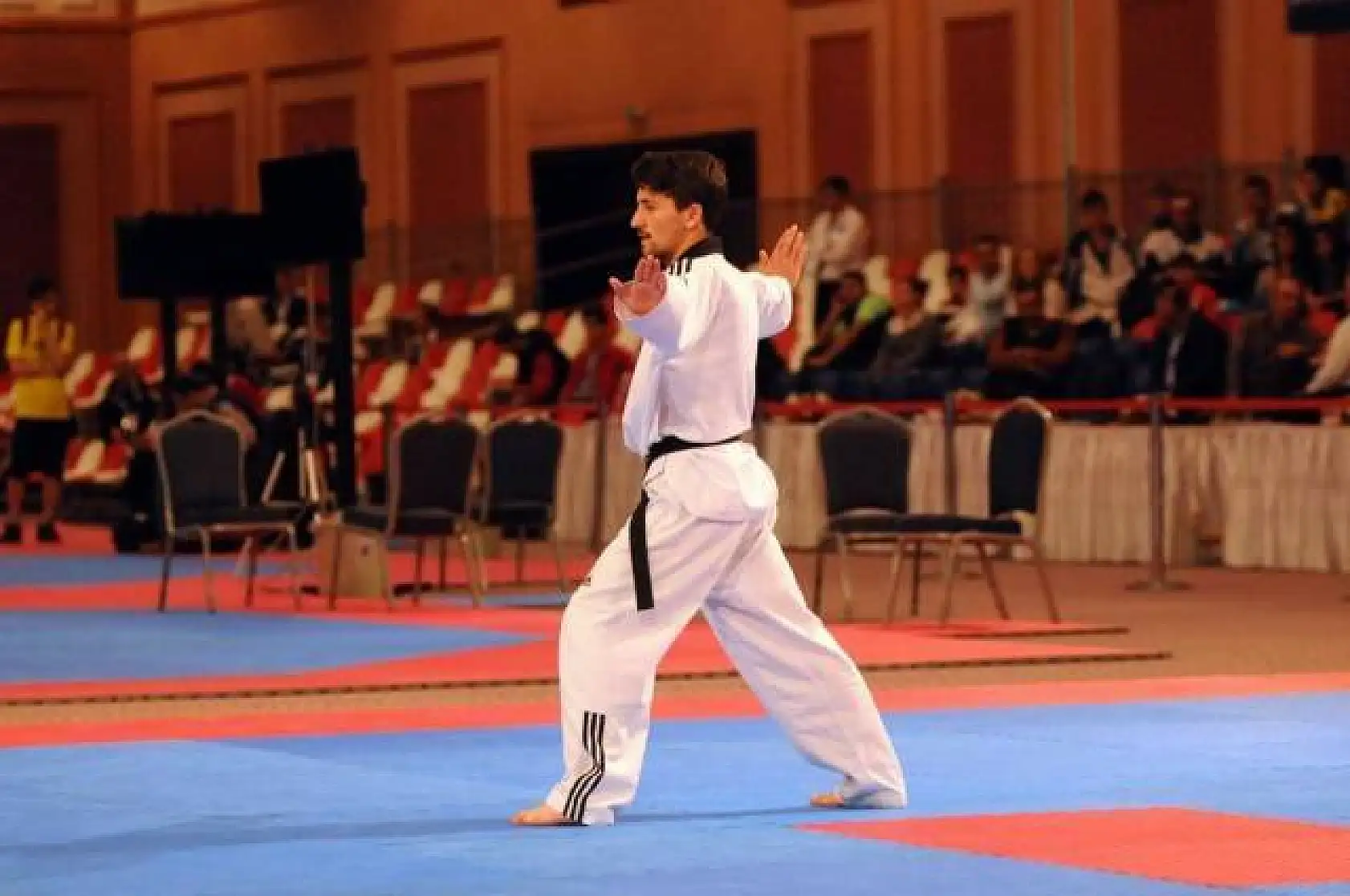 Turkish Open Uluslararası Taekwondo Turnuvası