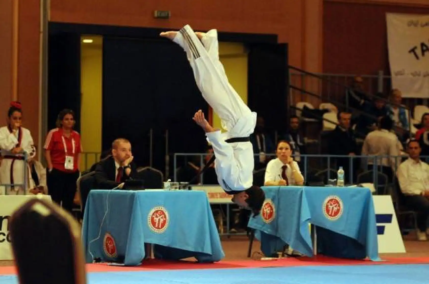 Turkish Open Uluslararası Taekwondo Turnuvası