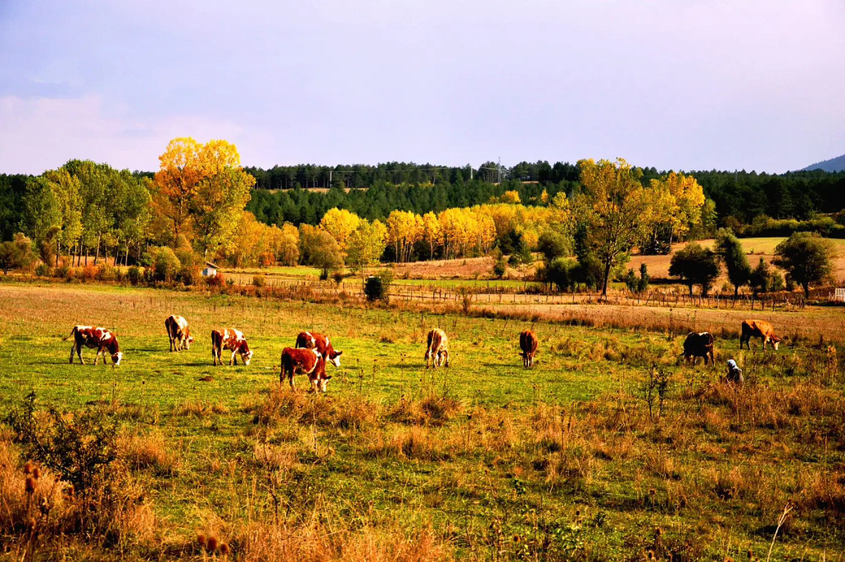 Kastamonu'da sonbahar