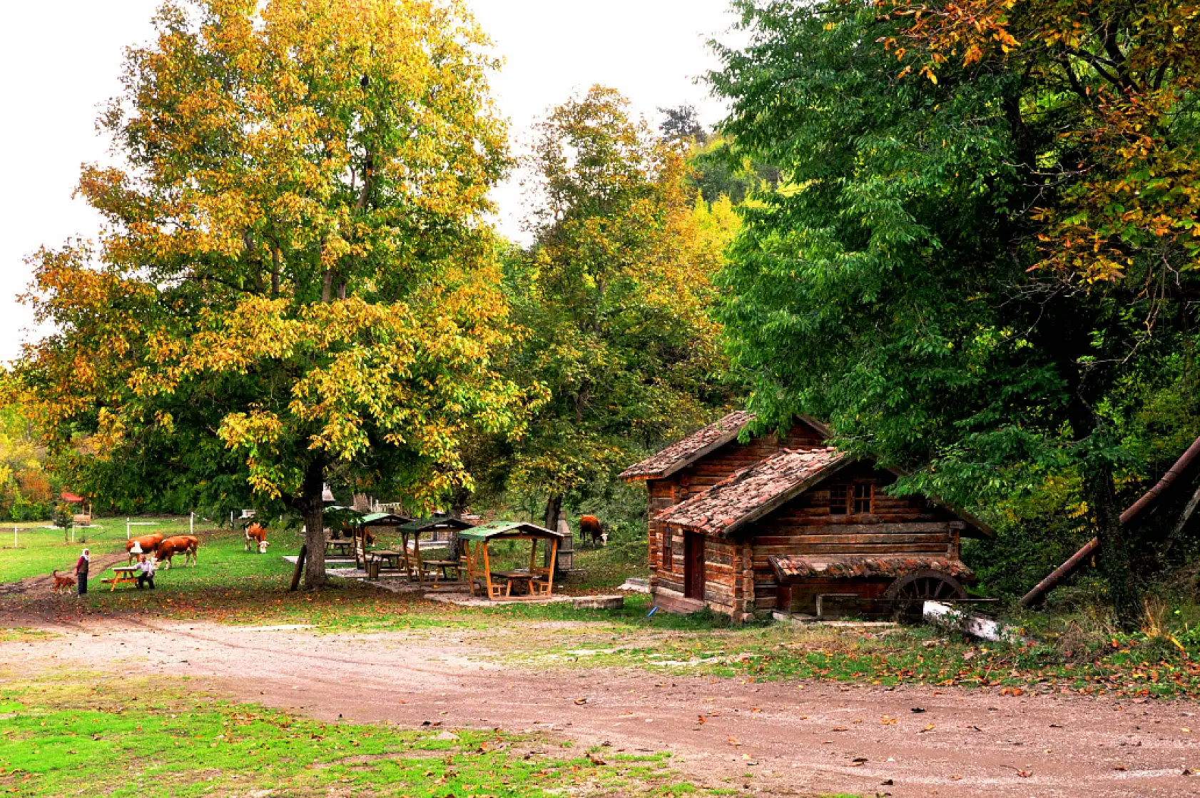 Kastamonu'da sonbahar