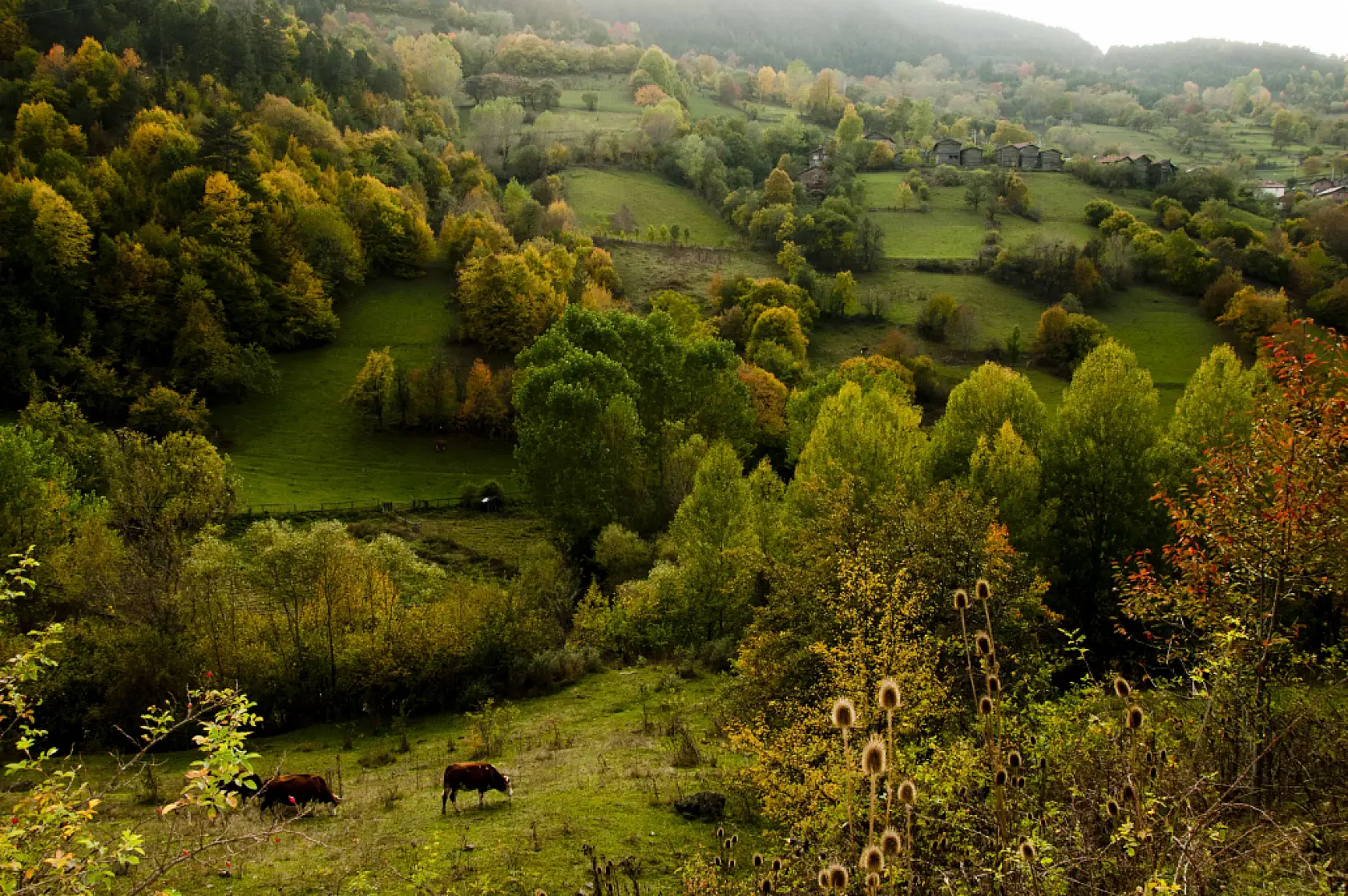 Kastamonu'da sonbahar