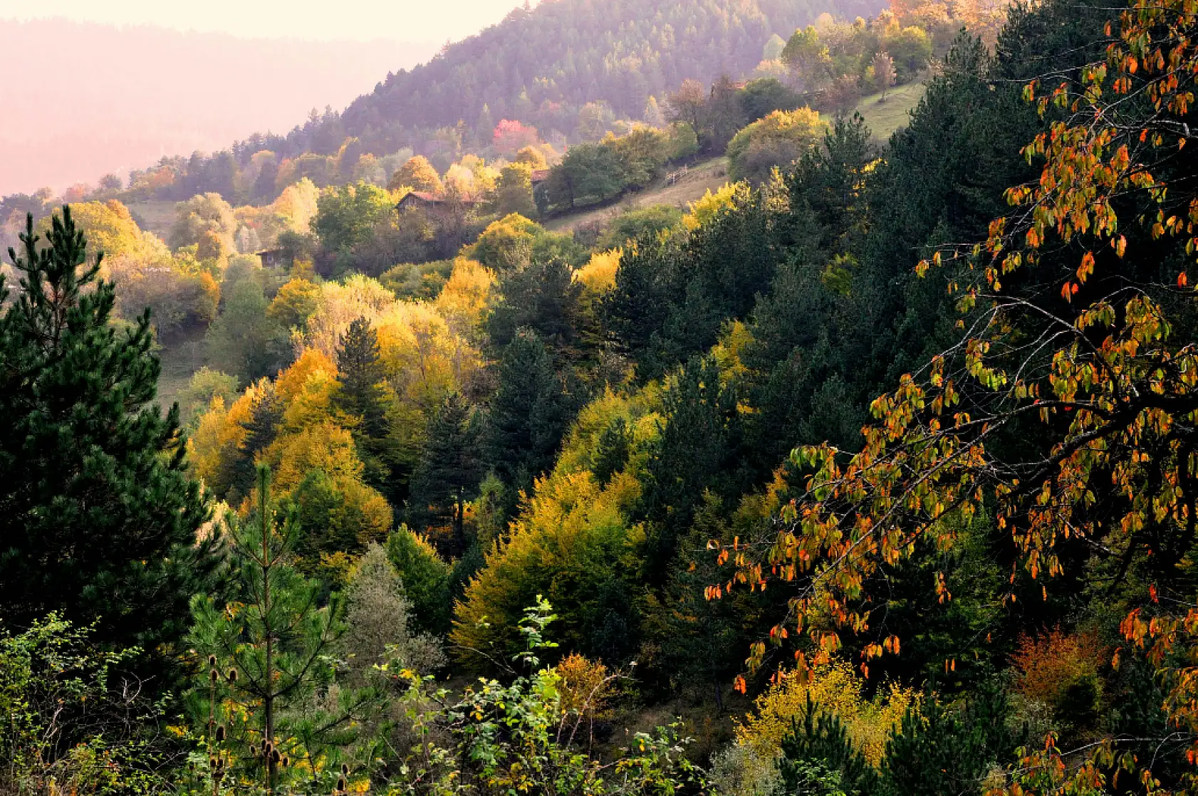 Kastamonu'da sonbahar