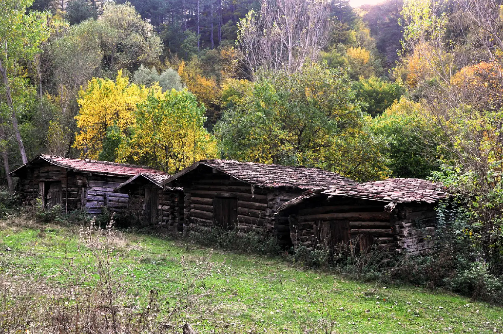 Kastamonu'da sonbahar