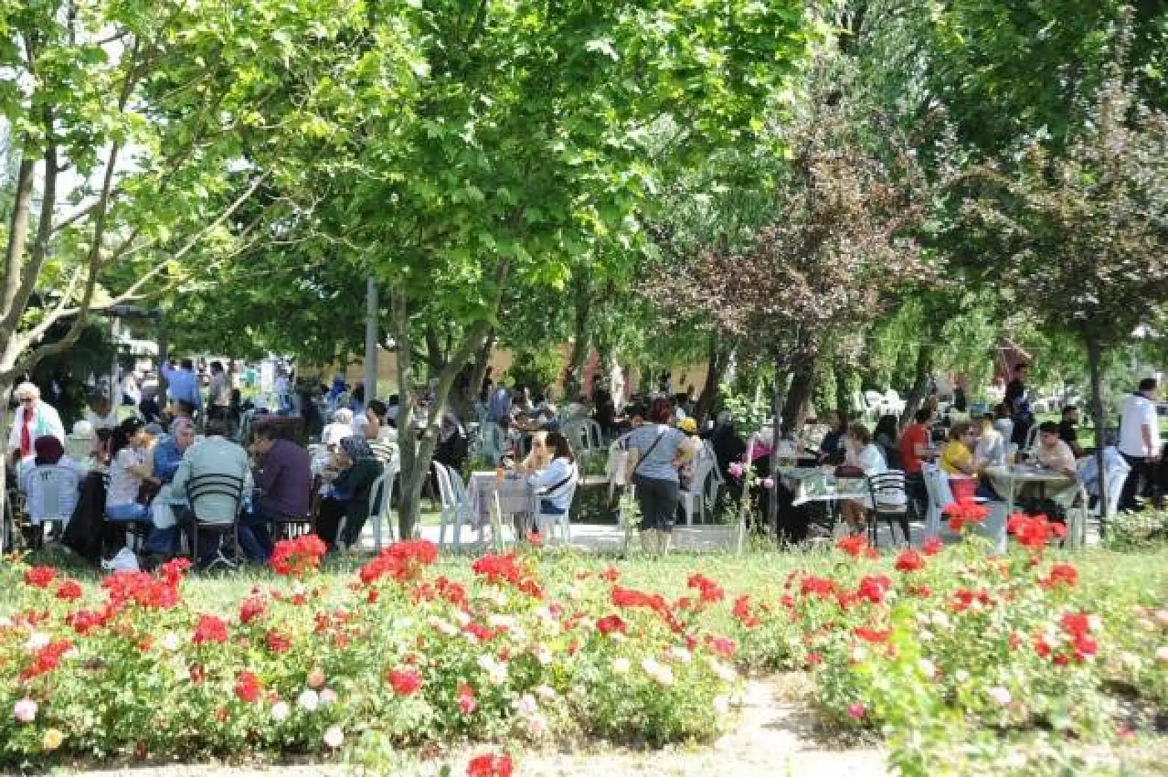 Kastamonu Günleri'ne yoğun ilgi