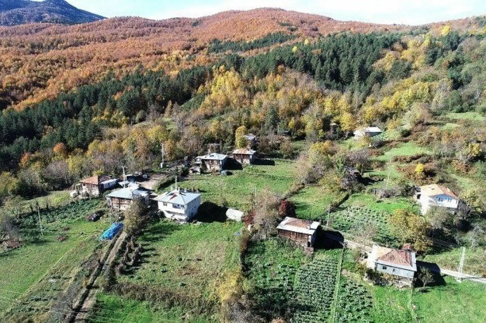 Kastamonu'da sonbahar renklerinin görsel şöleni