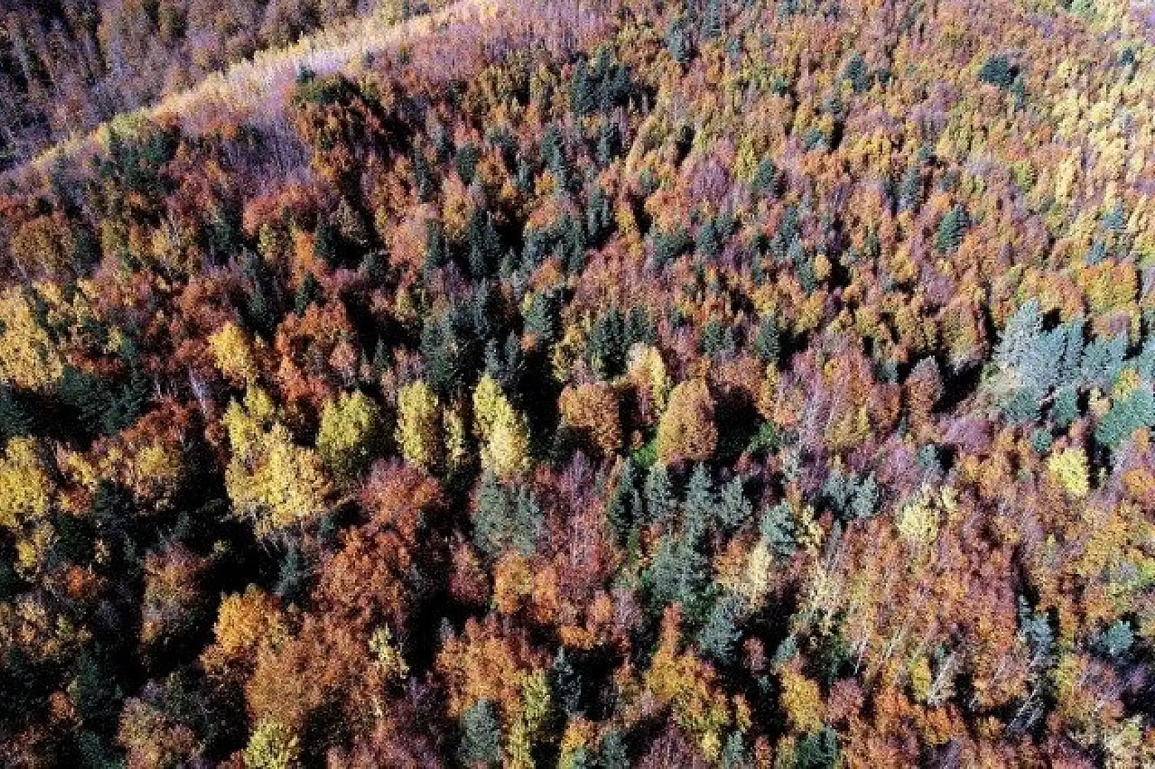 Kastamonu'da sonbahar renklerinin görsel şöleni