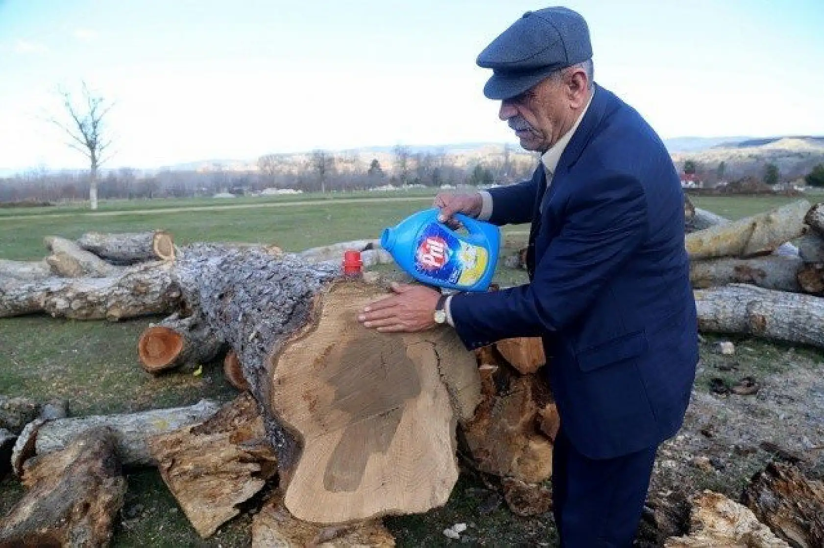 Ağacın gövdesindeki 'kadın silüeti' ilgi çekiyor