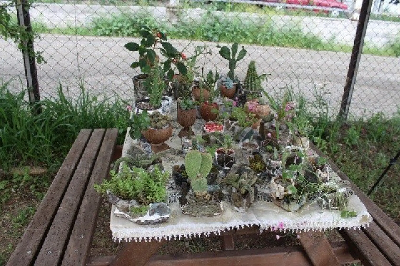 Ekmeğini doğadaki taşlardan çıkarıyor